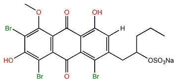 Proisocrinin B